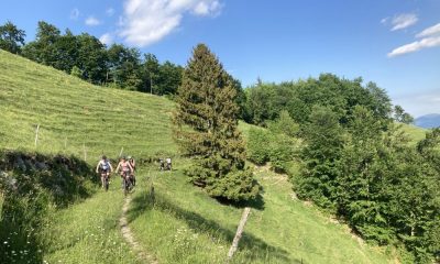 Cycling holidays in Slovenia - Škofja Loka hills
