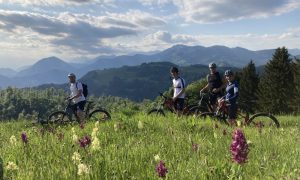 Cycling holidays in Slovenia